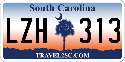 SC license plate LZH313