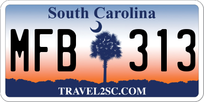 SC license plate MFB313