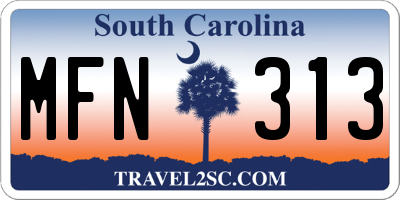 SC license plate MFN313
