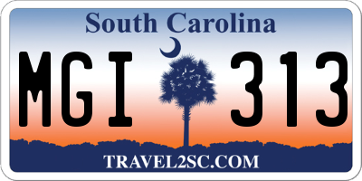 SC license plate MGI313