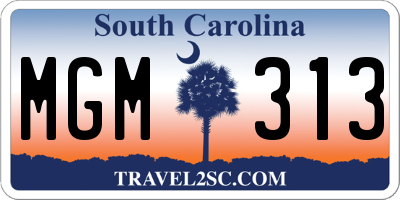 SC license plate MGM313