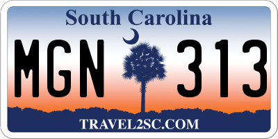 SC license plate MGN313