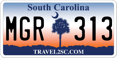 SC license plate MGR313
