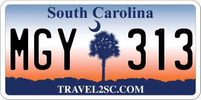 SC license plate MGY313