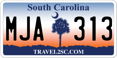 SC license plate MJA313