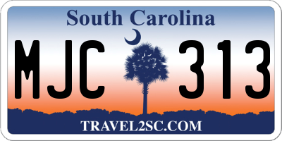 SC license plate MJC313