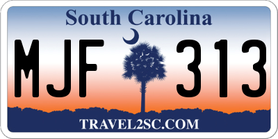 SC license plate MJF313