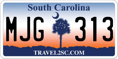 SC license plate MJG313