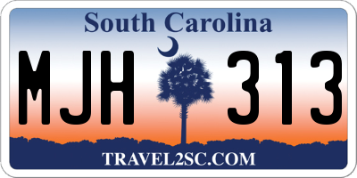 SC license plate MJH313