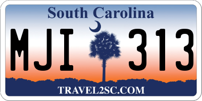 SC license plate MJI313