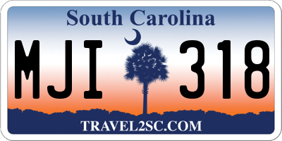 SC license plate MJI318
