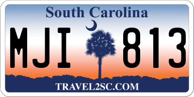 SC license plate MJI813