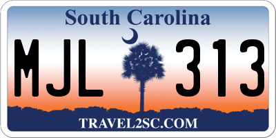 SC license plate MJL313