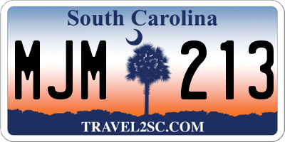 SC license plate MJM213