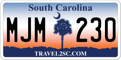 SC license plate MJM230