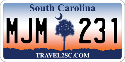 SC license plate MJM231