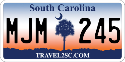 SC license plate MJM245