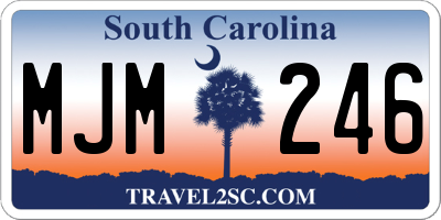 SC license plate MJM246