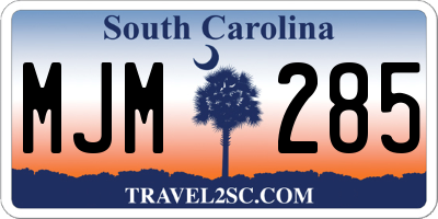 SC license plate MJM285