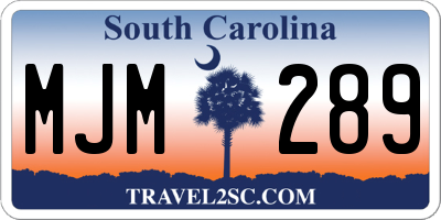 SC license plate MJM289