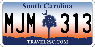 SC license plate MJM313