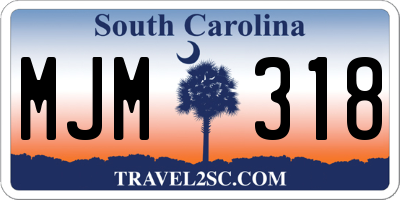 SC license plate MJM318