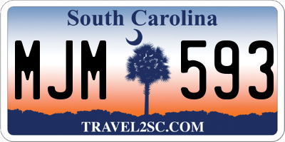 SC license plate MJM593