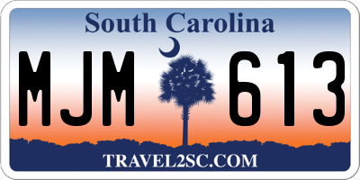 SC license plate MJM613