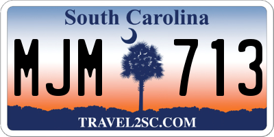 SC license plate MJM713