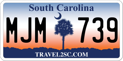 SC license plate MJM739