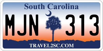 SC license plate MJN313
