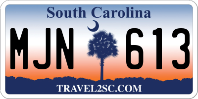 SC license plate MJN613