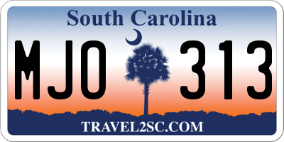 SC license plate MJO313