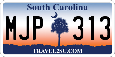 SC license plate MJP313