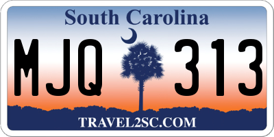 SC license plate MJQ313
