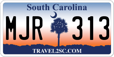 SC license plate MJR313