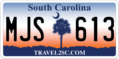 SC license plate MJS613
