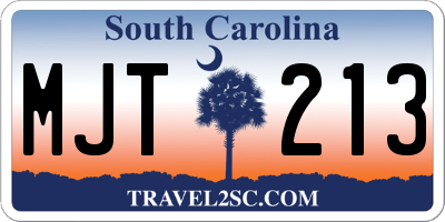 SC license plate MJT213