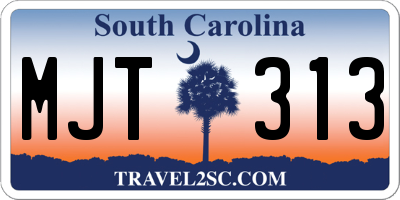 SC license plate MJT313