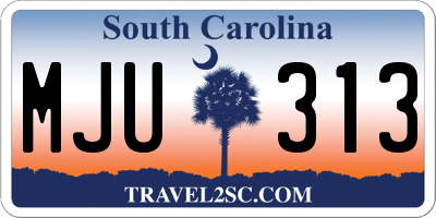 SC license plate MJU313