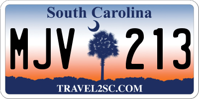 SC license plate MJV213
