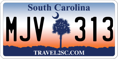 SC license plate MJV313