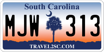 SC license plate MJW313
