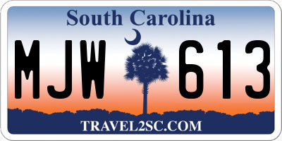 SC license plate MJW613