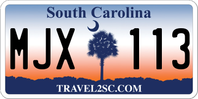 SC license plate MJX113