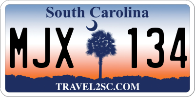 SC license plate MJX134