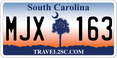 SC license plate MJX163