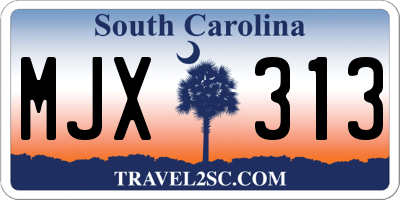 SC license plate MJX313