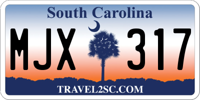 SC license plate MJX317