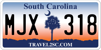 SC license plate MJX318